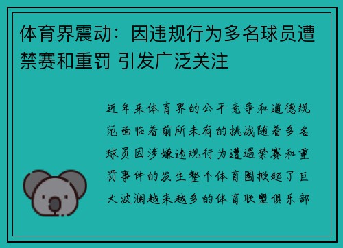 体育界震动：因违规行为多名球员遭禁赛和重罚 引发广泛关注